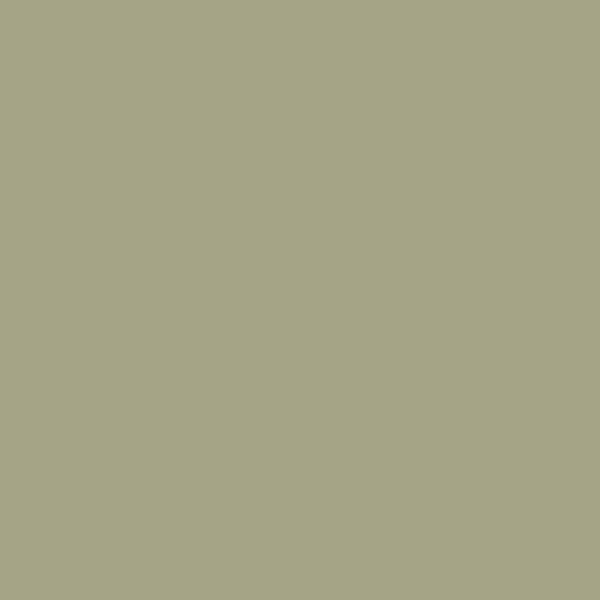 CELADON Paint - 26 - Image 3