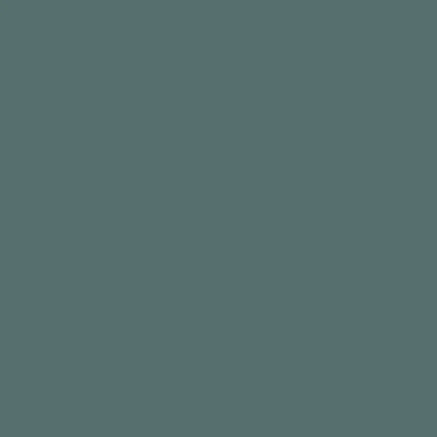 EUPHORBIA Paint - 90 - Image 4