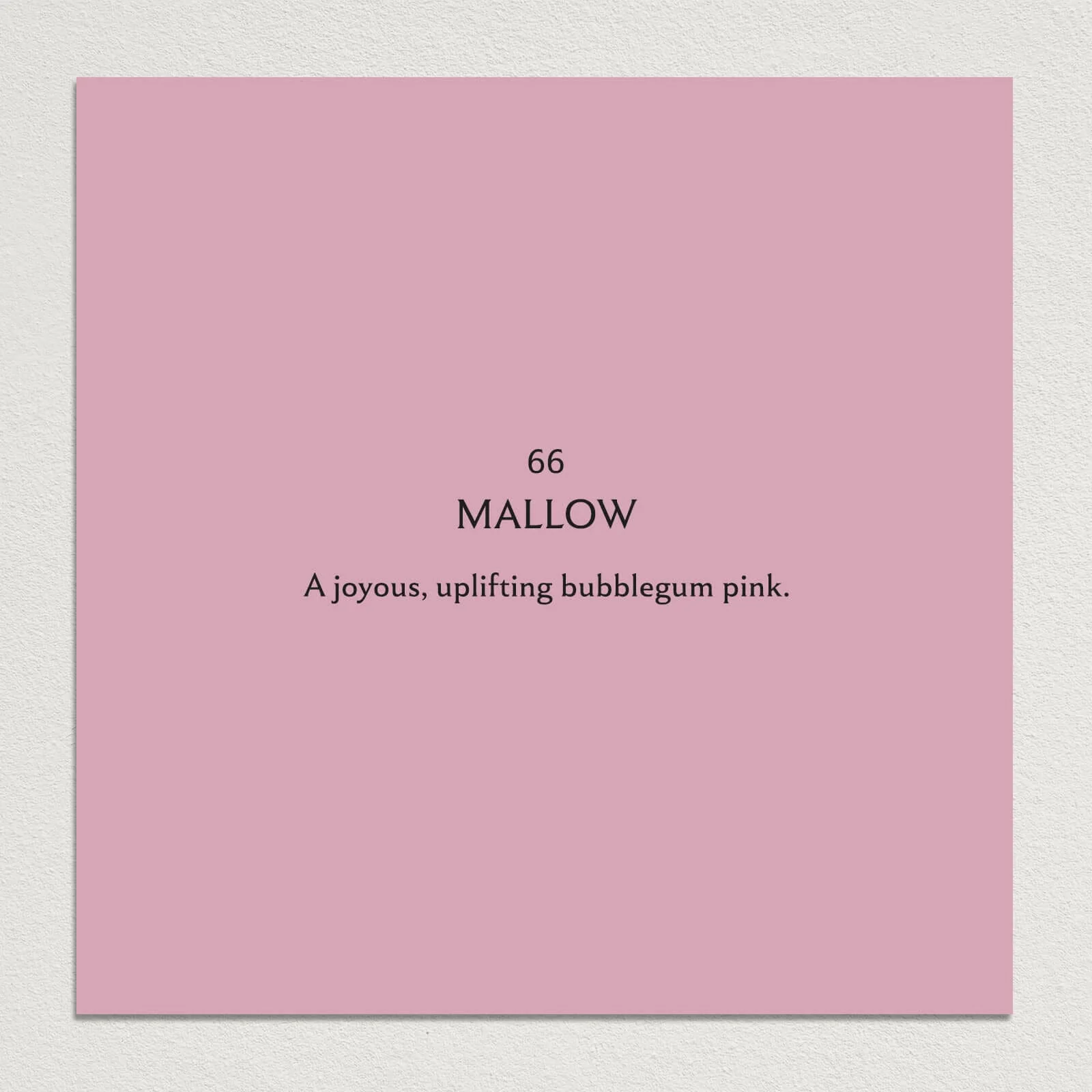 MALLOW Paint - 66 - Image 3