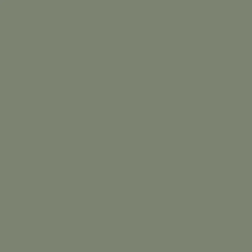 MYRTLE Paint - 56 - Image 4