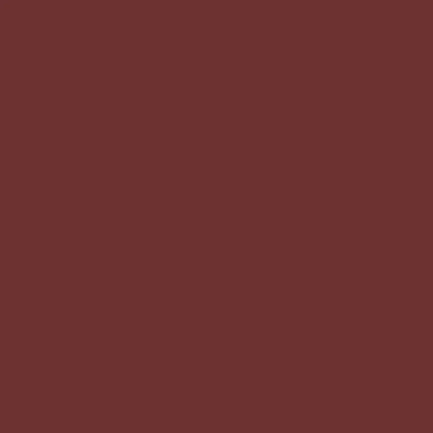 NASTURTIUM Paint - 17 - Image 3