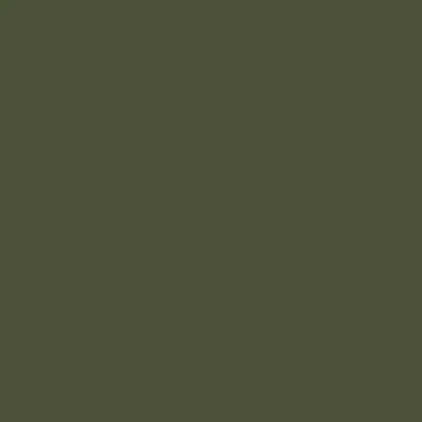 NEPHRITE Paint - 60 - Image 5