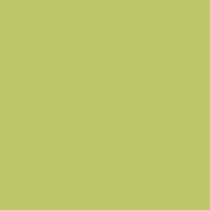 PETUNIA Paint - 53 - Image 3