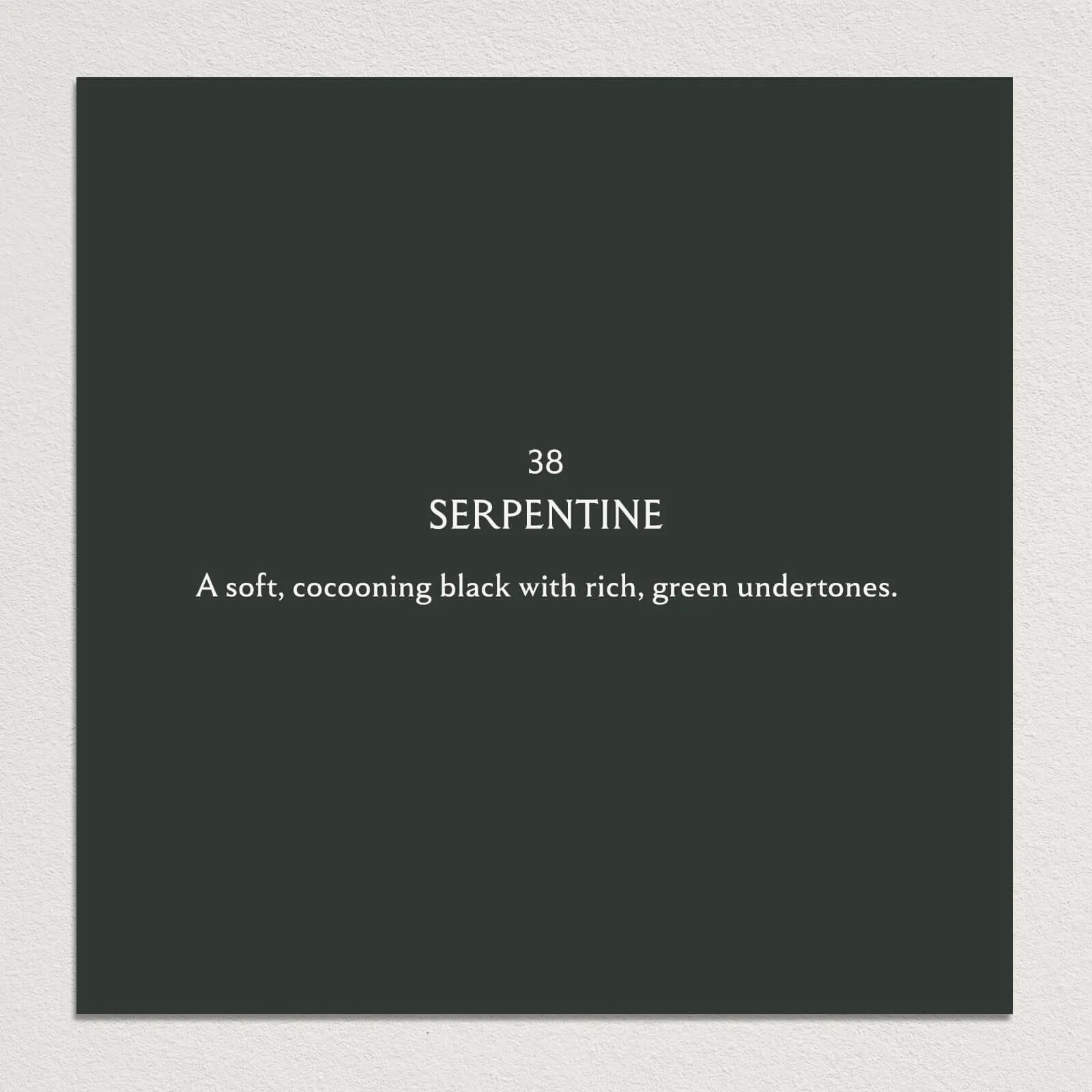 SERPENTINE Paint - 38 - Image 3