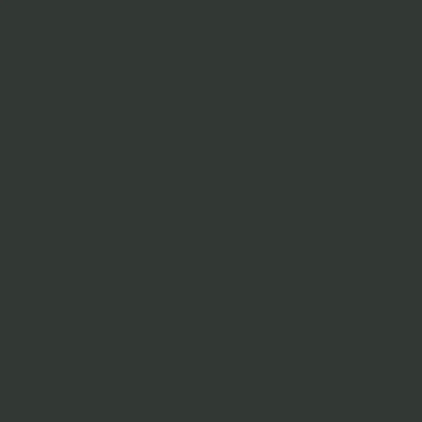 SERPENTINE Paint - 38 - Image 4