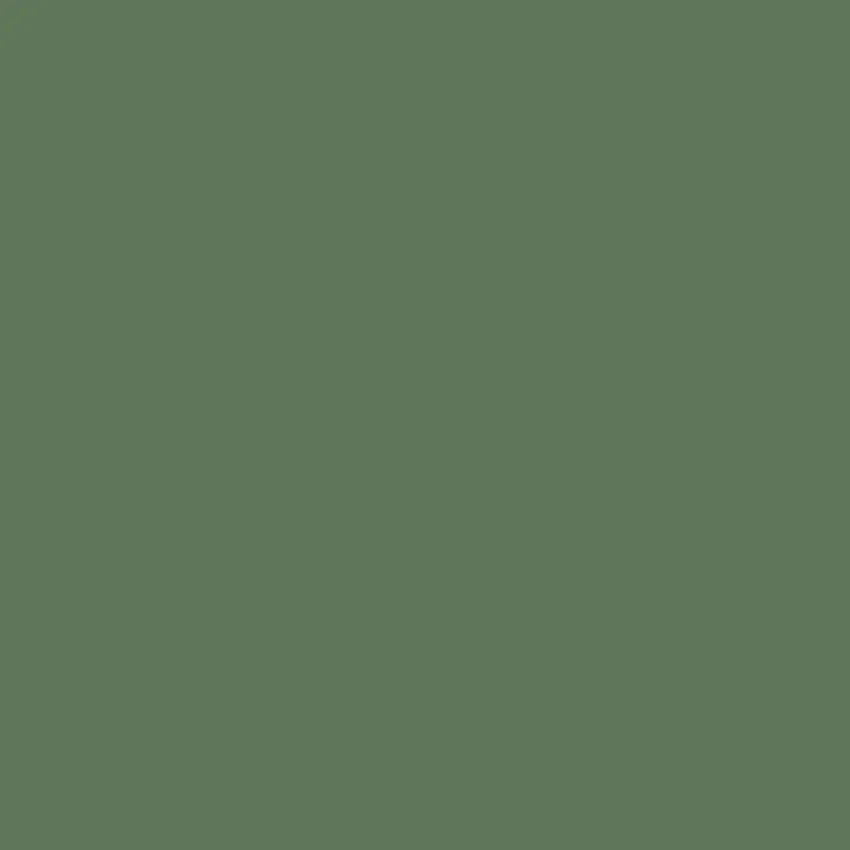 SORREL Paint - 4 - Image 3