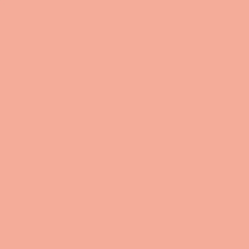 ZINNIA Paint - 54 - Image 3
